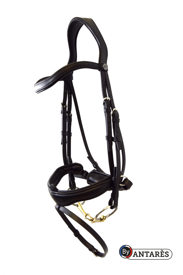 Antares - Bridon dressage signature muserolle combinée