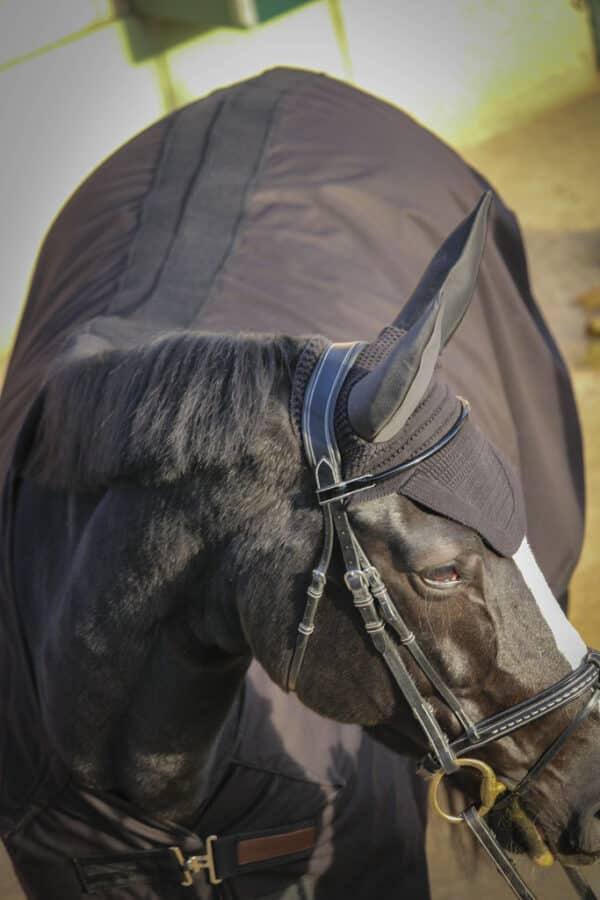 Paddock - Chemise cheval Light Mesh – Image 2