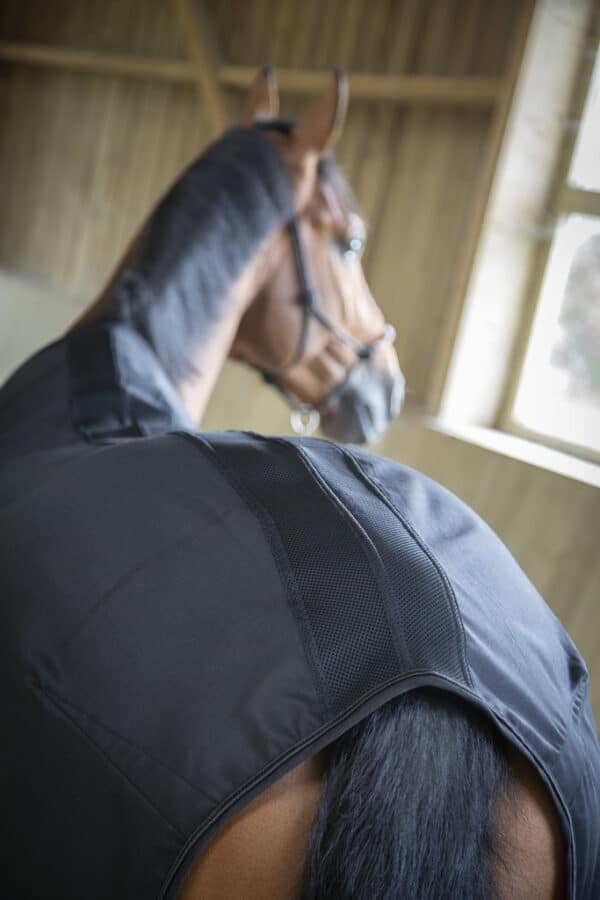 Paddock - Chemise cheval Light Mesh – Image 4