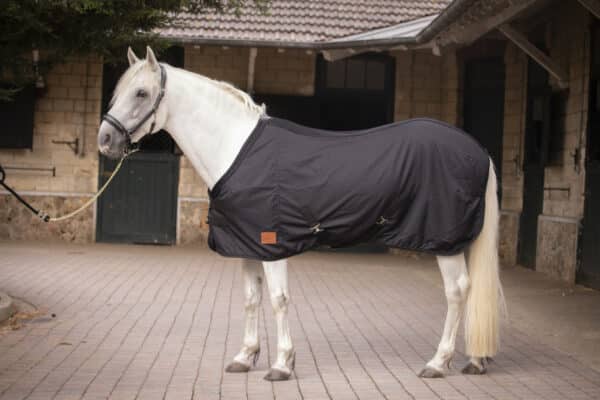 Paddock - Chemise cheval Light Mesh