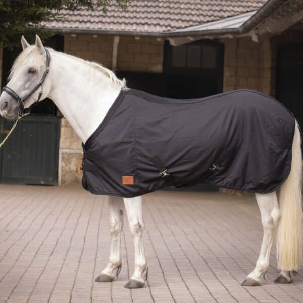 Paddock - Chemise cheval Light Mesh