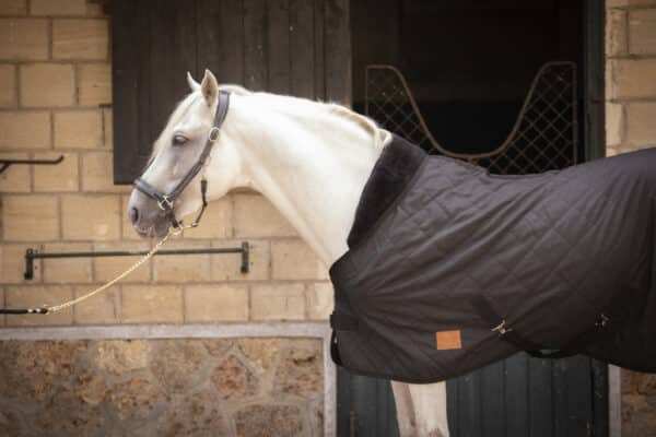 Paddock - Couverture matelassée 200g – Image 2