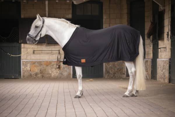 Paddock - Chemise cheval séchante