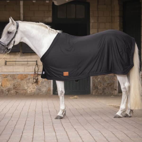 Paddock - Chemise cheval séchante