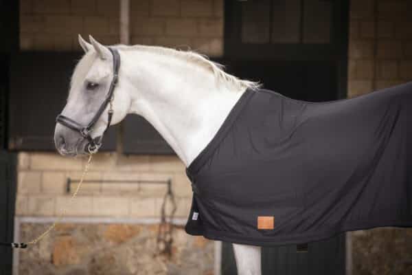 Paddock - Chemise cheval séchante – Image 2