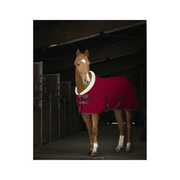 Equitheme - Chemise polaire cheval Teddy – Image 3
