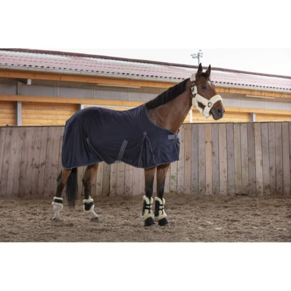 Equitheme - Chemise cheval Cool Dry – Image 2