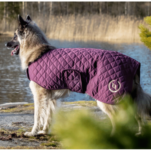 Back On Track - Manteau chien Night bleu – Image 2