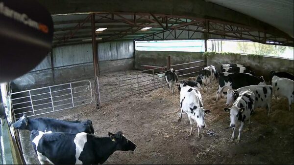 Luda Farm - Caméra de surveillance HD – Image 2
