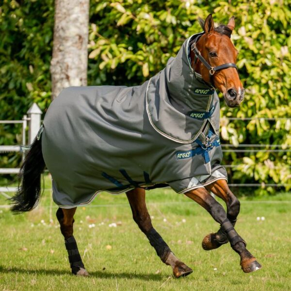 Horseware - Couverture imperméable Amigo Bravo 12 Plus 250G