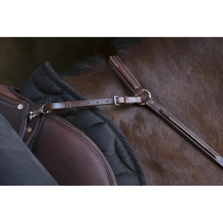 collier-de-chasse-norton-pro-3