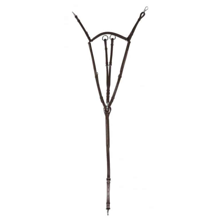 collier-de-chasse-norton-pro-3
