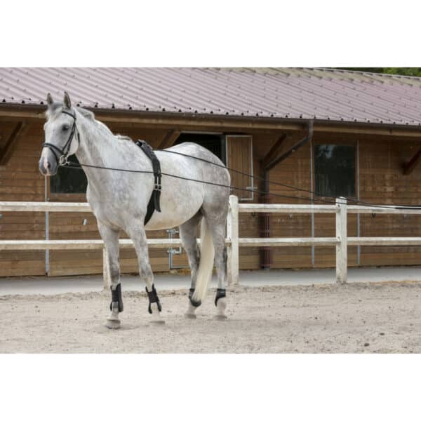 Riding World - Longues rênes cuir/corde – Image 2