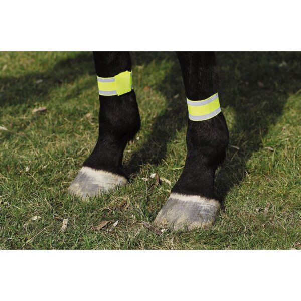 Norton - Bandage jaune