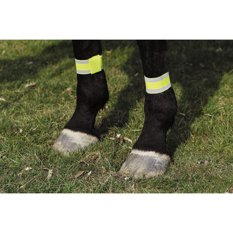bandages-jaune-norton