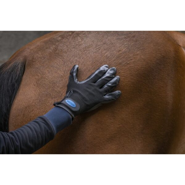 Hippotonic - Gant de pansage anti-mue – Image 3