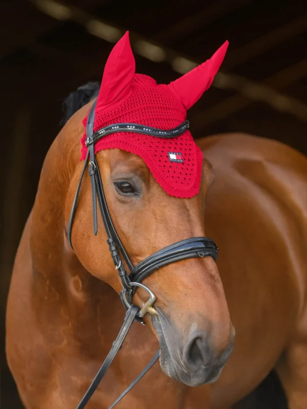 Tommy hilfiger - Bonnet cheval – Image 2