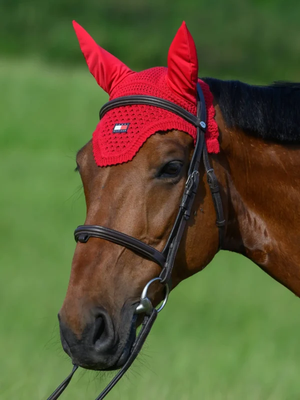 Tommy hilfiger - Bonnet cheval – Image 6