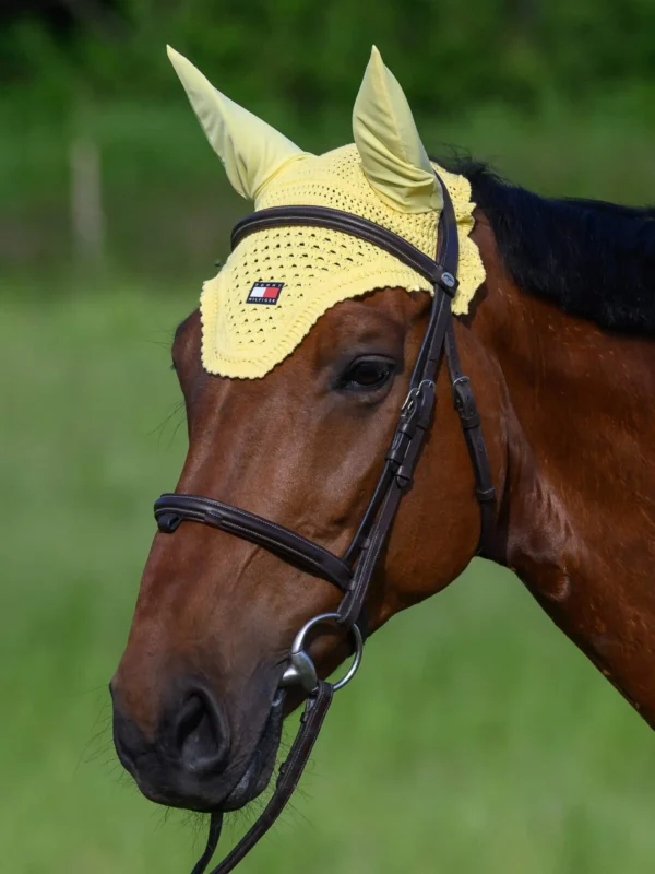 Tommy hilfiger - Bonnet cheval – Image 11