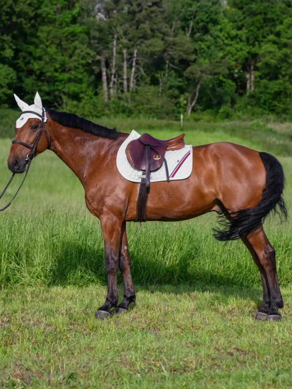 Tommy Hilfiger - Tapis de selle Stanford jumping – Image 17
