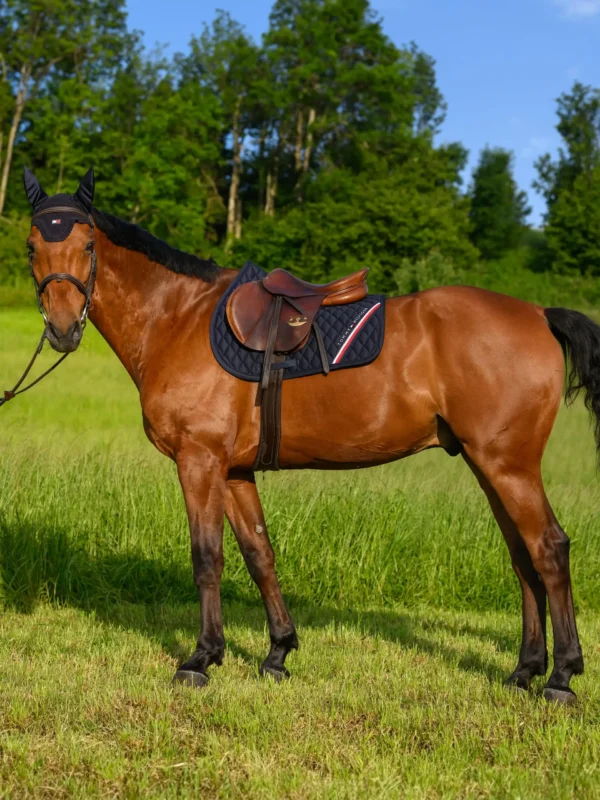 Tommy Hilfiger - Tapis de selle Stanford jumping – Image 6