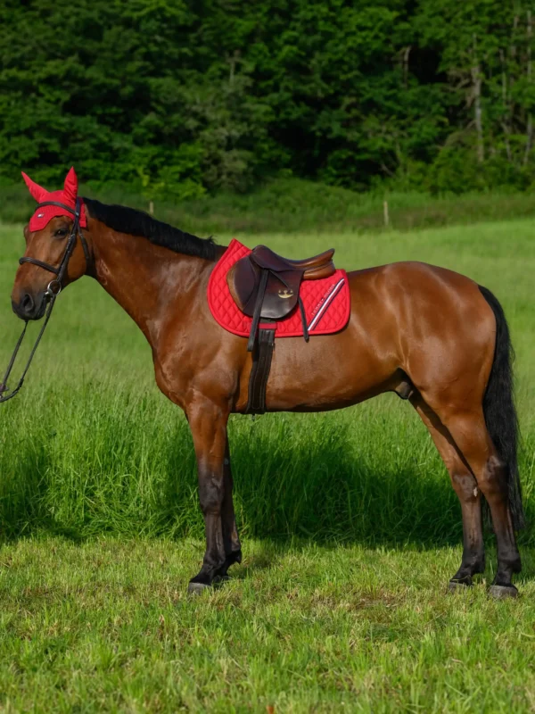 Tommy Hilfiger - Tapis de selle Stanford jumping – Image 24