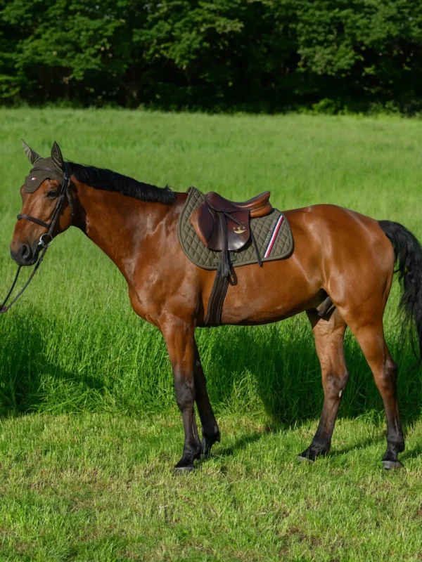 Tommy Hilfiger - Tapis de selle Stanford jumping – Image 5