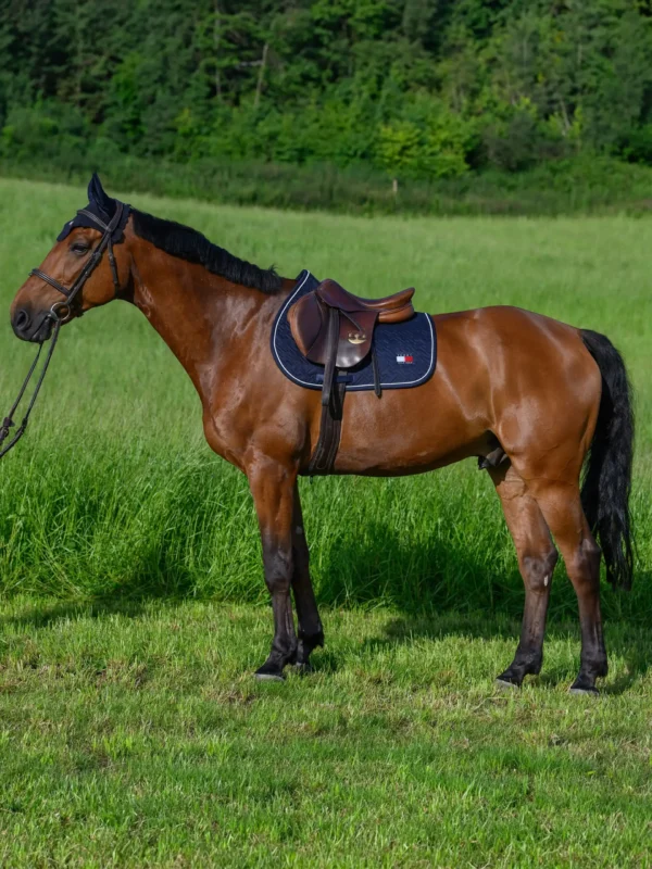 Tommy Hilfiger - Tapis de selle Stanford jumping – Image 23