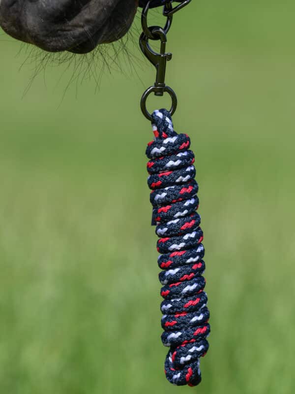 Tommy Hilfiger - Licol et longe Yale – Image 4