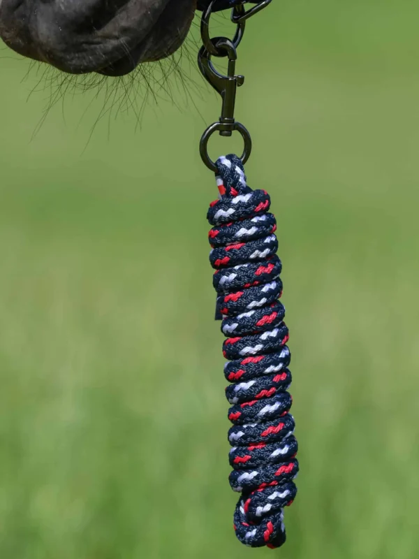 Tommy Hilfiger - Licol et longe Yale – Image 4