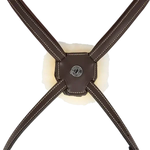 Antares - Bridon muserolle croisée têtière anatomique Signature – Image 2
