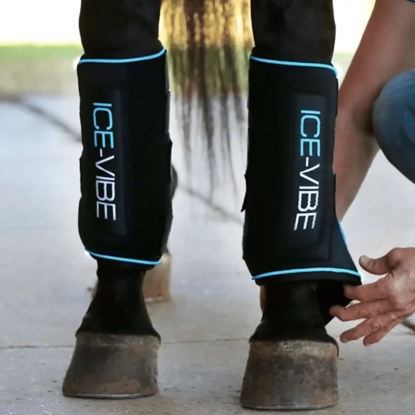 Horseware - Guêtres Ice-Vibe boot
