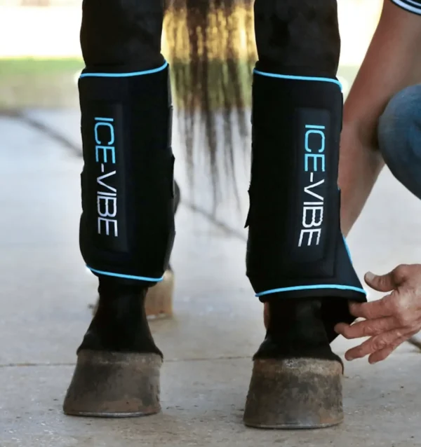 Horseware - Guêtres Ice-Vibe boot