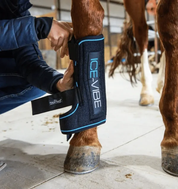 Horseware - Guêtres Ice-Vibe boot – Image 4