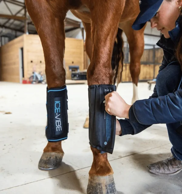 Horseware - Guêtres Ice-Vibe boot – Image 3