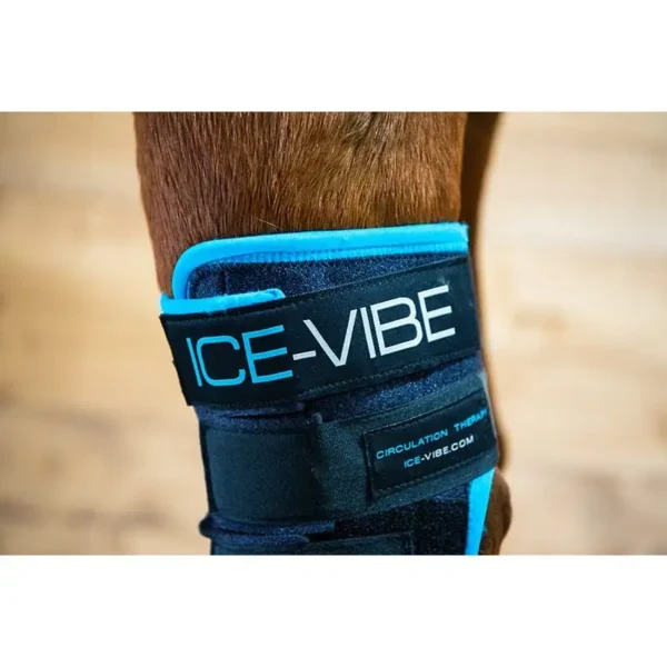 Horseware - Guêtres Ice-Vibe jarrets – Image 2