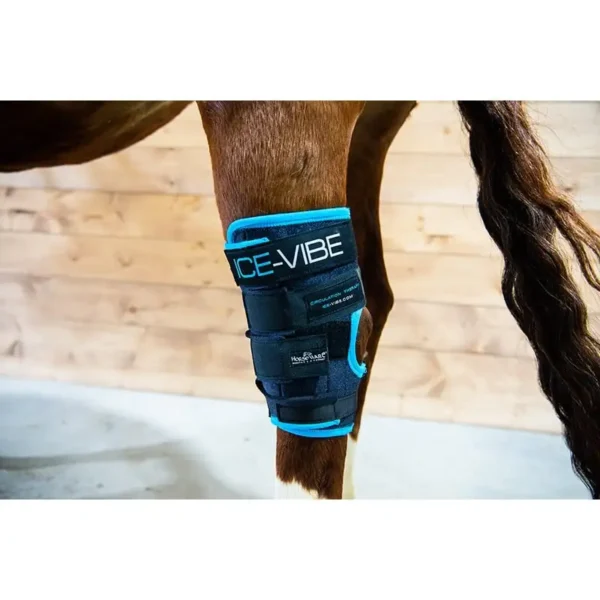 Horseware - Guêtres Ice-Vibe jarrets – Image 3