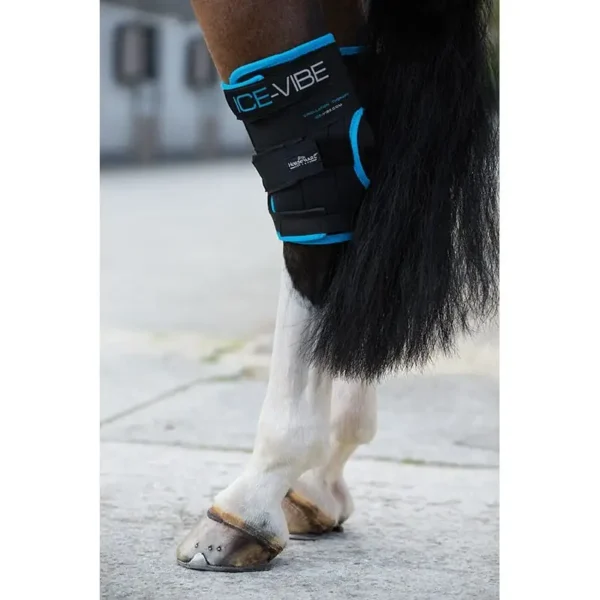 Horseware - Guêtres Ice-Vibe jarrets