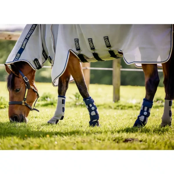 Horseware - Guêtres Flyboots – Image 2