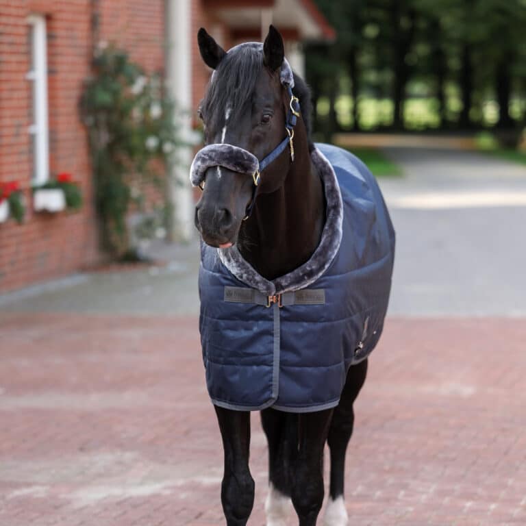 prod-191273-couverture-d-ecurie-bucas-show-line-150g-sf-2560x2560-4e514f0fa2d3