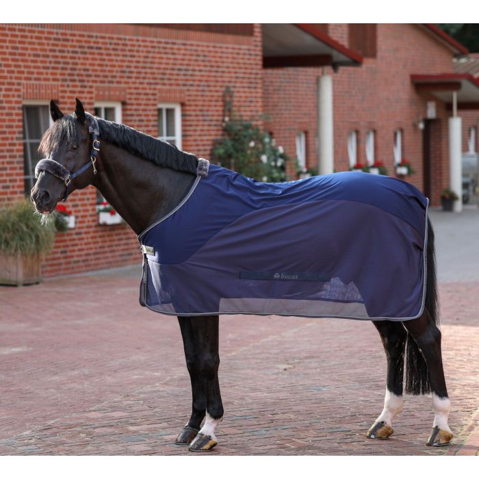 show-line_competition_cooler_657_p4907